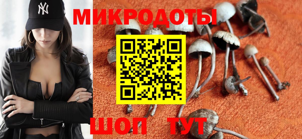 наркошоп  Псилоцибиновые грибы MAGIC MUSHROOMS  Вход с VPN  Волгодонск 