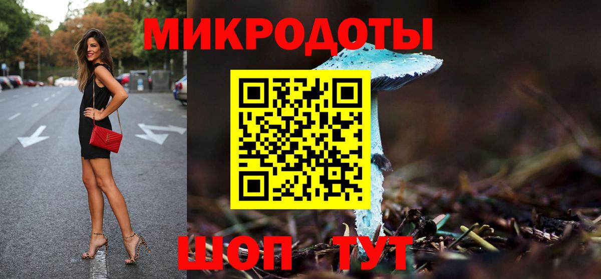 Псилоцибиновые грибы Psilocybine cubensis Волгодонск